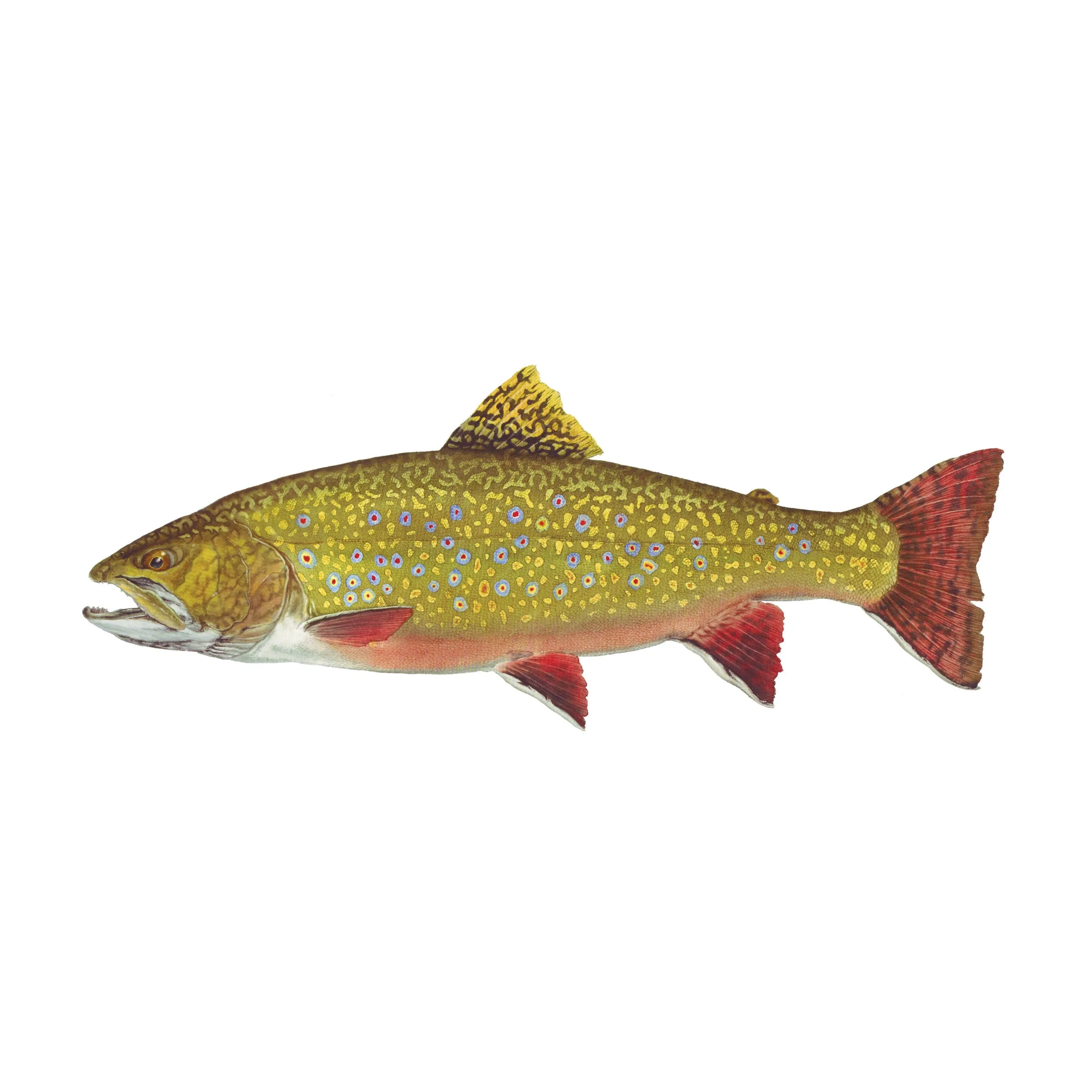 8" Gamefish Boat & Truck Window Stickers
