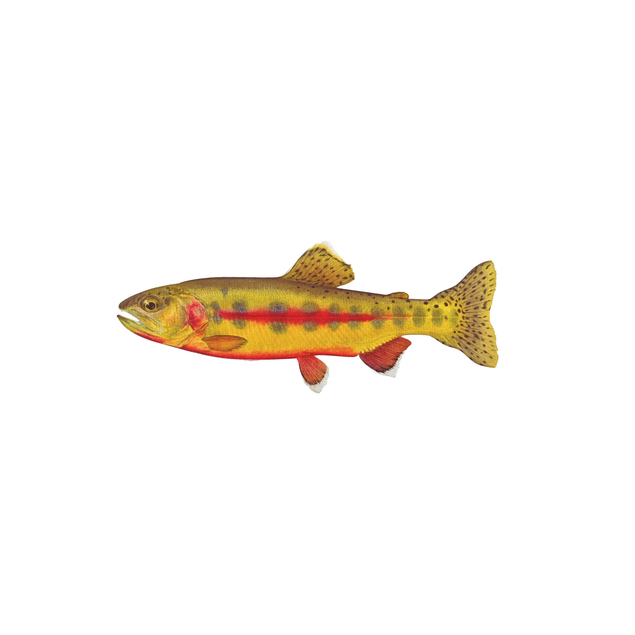 8" Gamefish Boat & Truck Window Stickers
