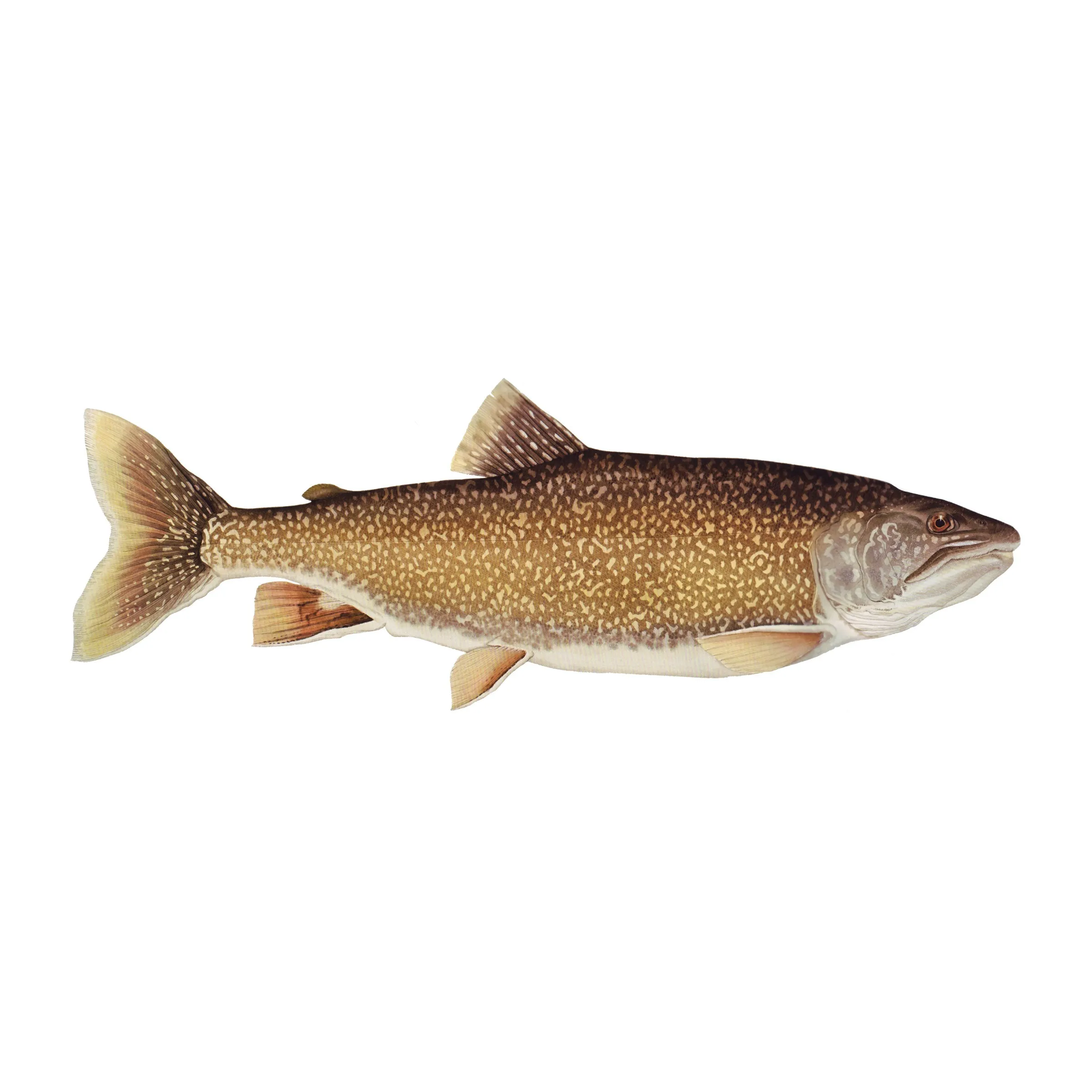 8" Gamefish Boat & Truck Window Stickers
