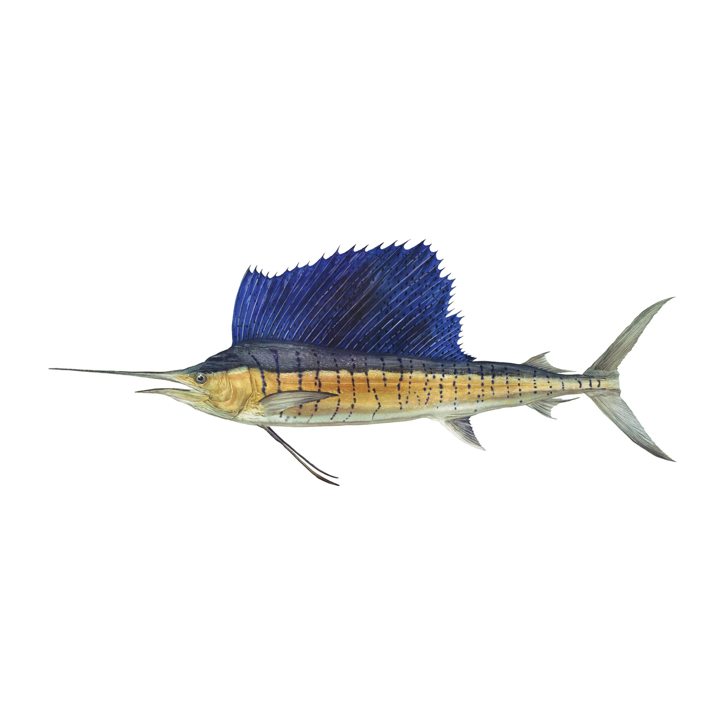 8" Gamefish Boat & Truck Window Stickers