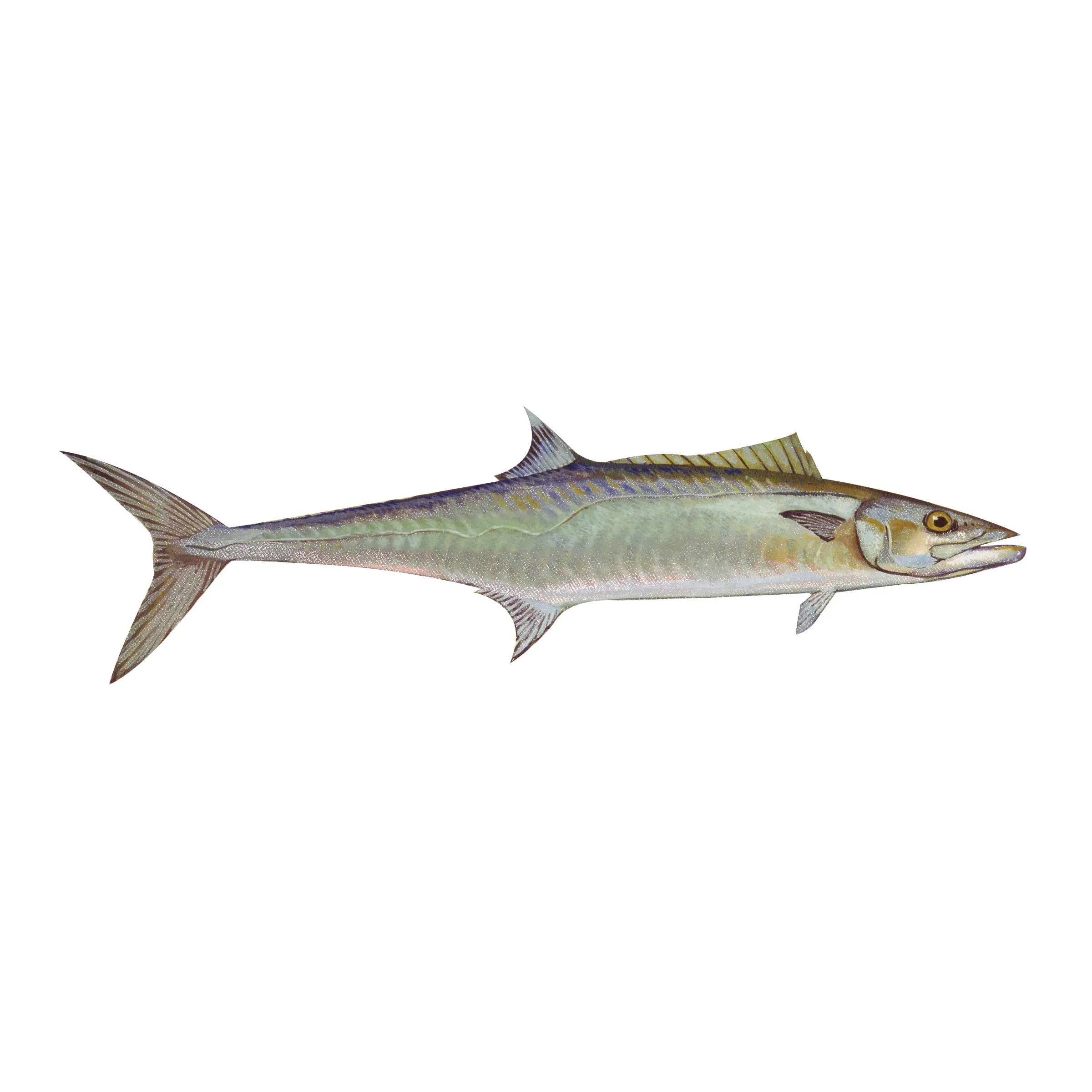 8" Gamefish Boat & Truck Window Stickers