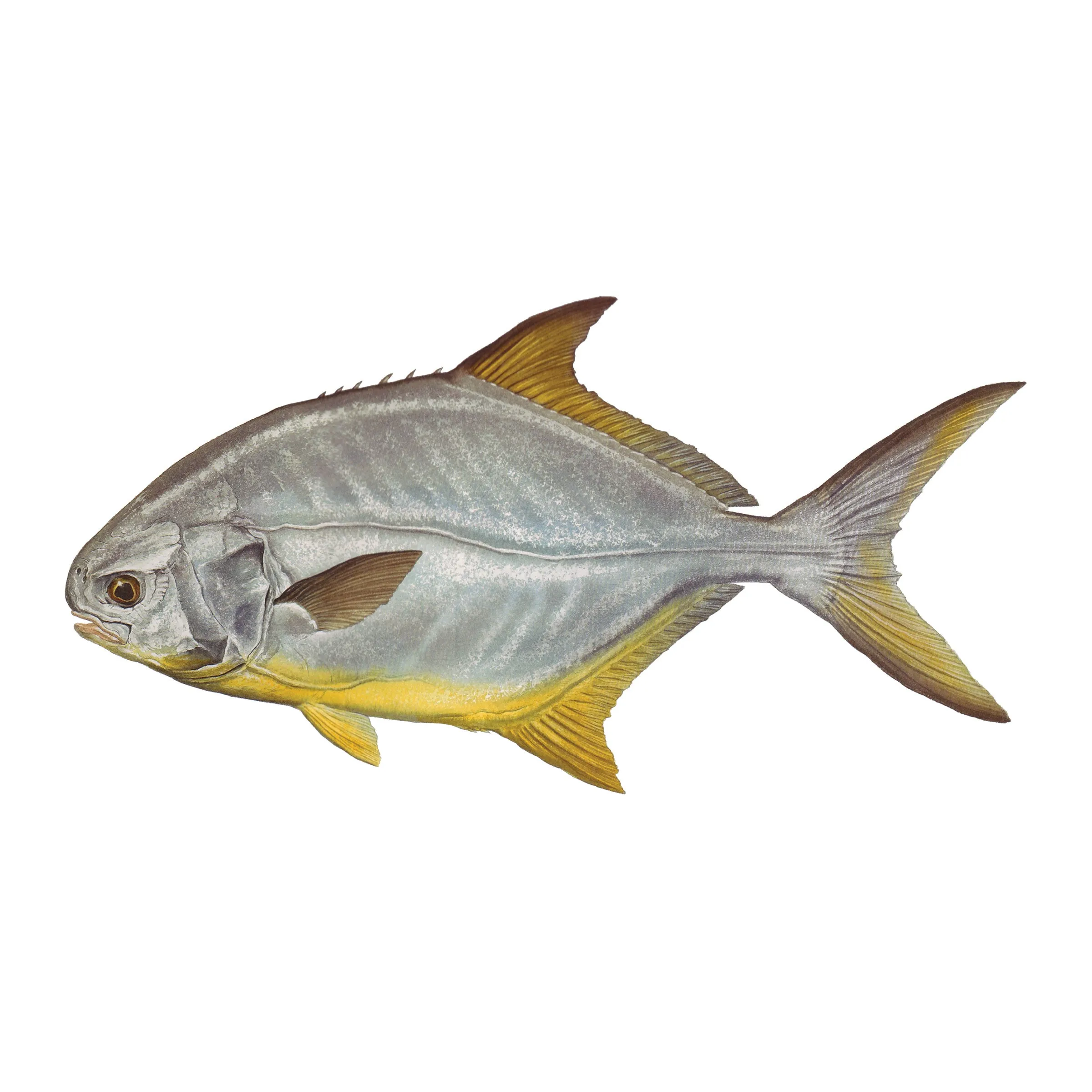 8" Gamefish Boat & Truck Window Stickers