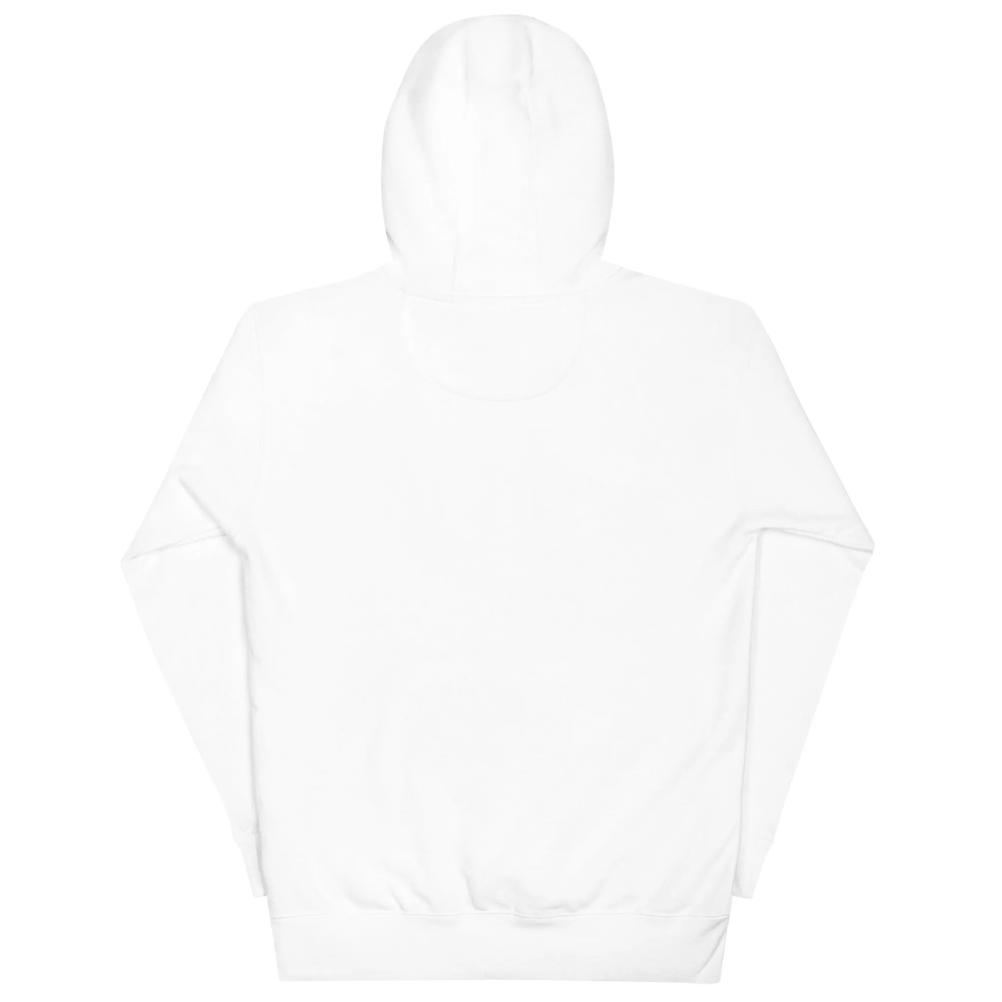 PIT LANE CLOTHING Embroidered Heavyweight Hoodie - Acceleration Emblem
